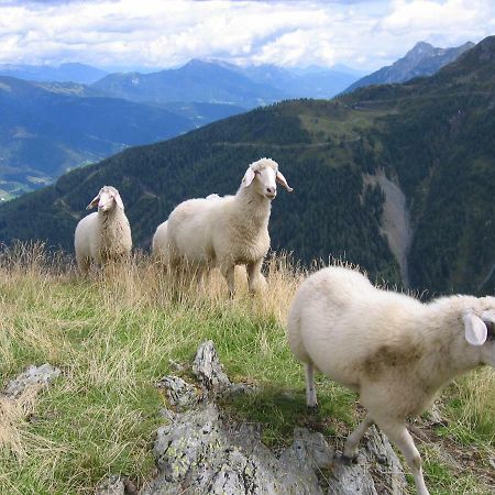 Pension Wilhelmer Sankt Lorenzen im Lesachtal Екстериор снимка
