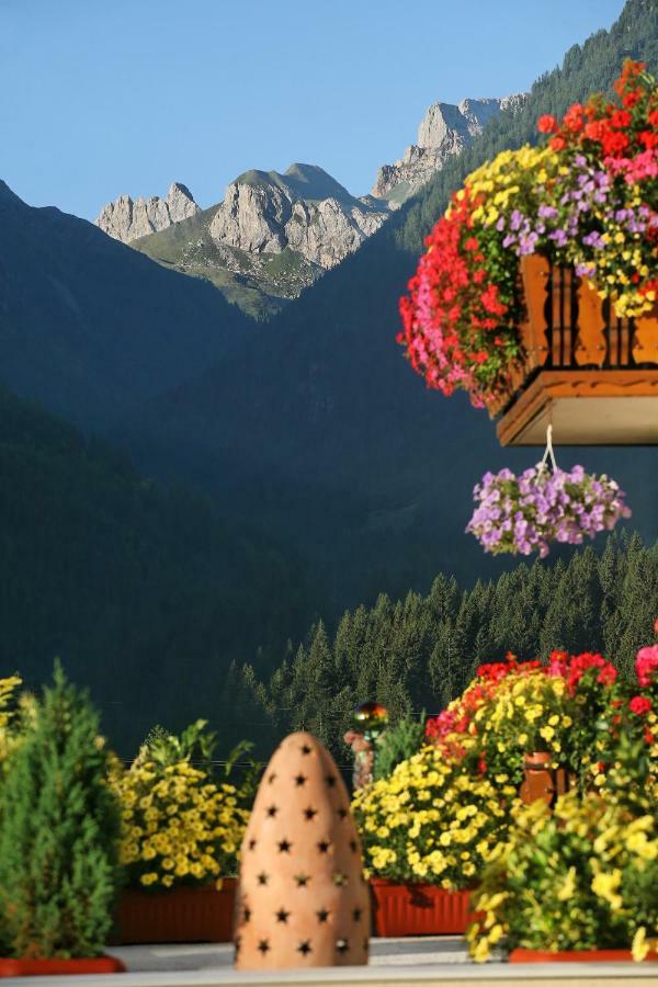 Pension Wilhelmer Sankt Lorenzen im Lesachtal Екстериор снимка
